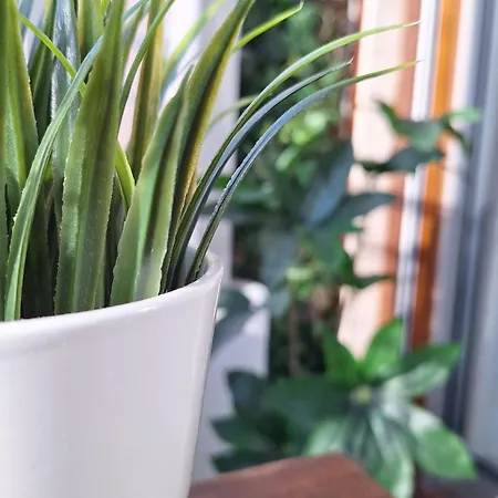 شقة M&r Acaciasbeach, Parking Privado تورّيفيِخا